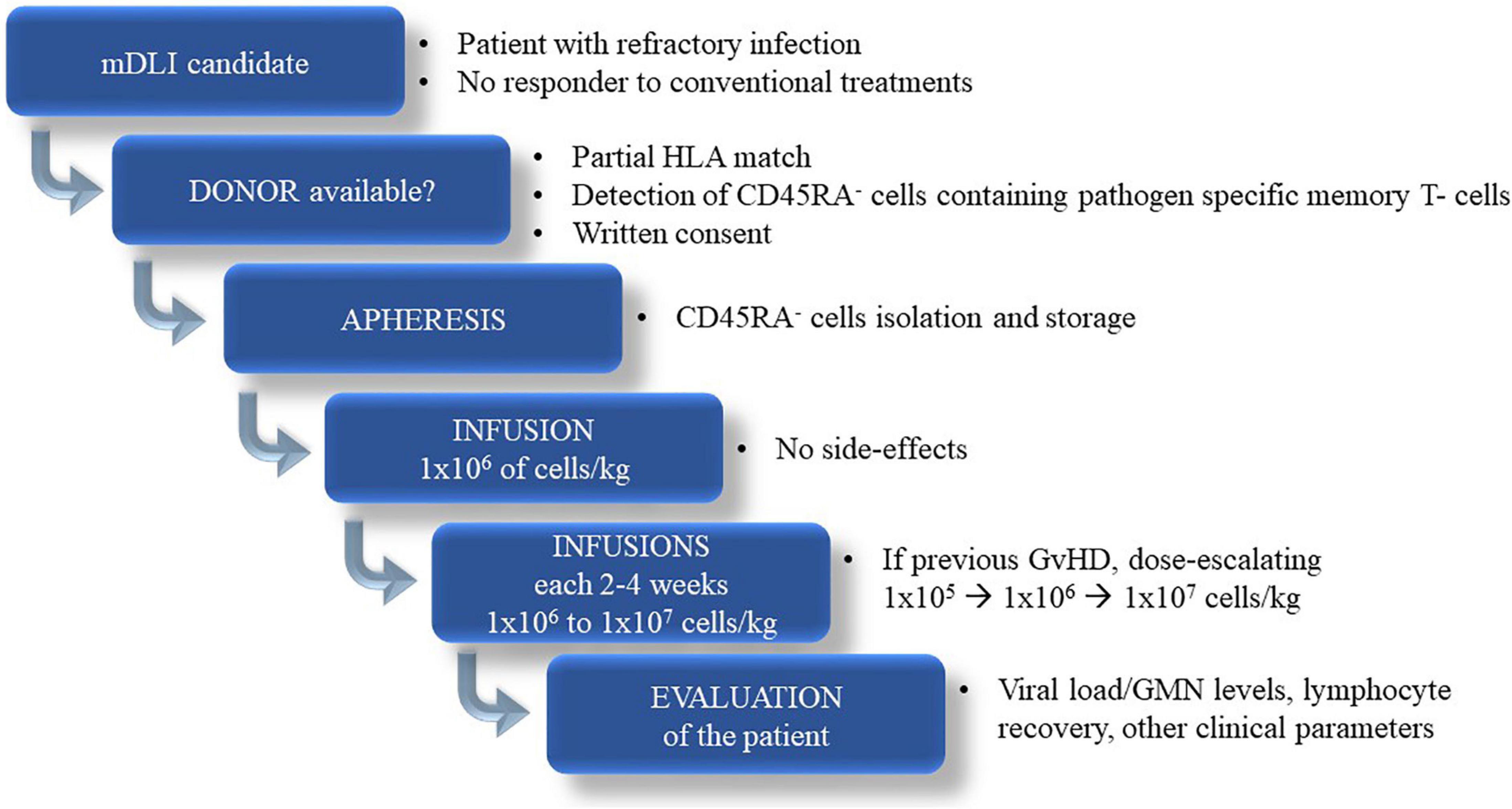 Familial CD45RA– T cells to treat severe refractory infections in immunocompromised patients